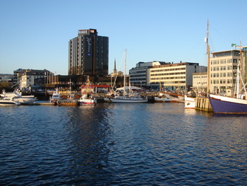 Bodo marina